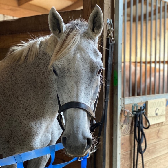 Meet your Posher, Michaela - Picture 1 of 1